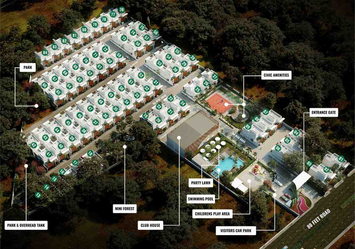 portfolio details image